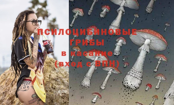 амф Краснотурьинск