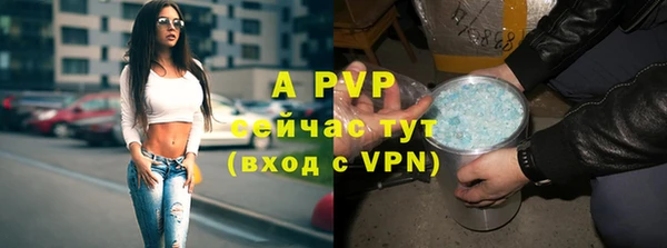 винт Краснослободск