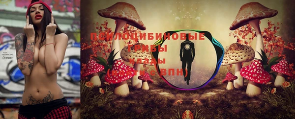 амф Краснотурьинск
