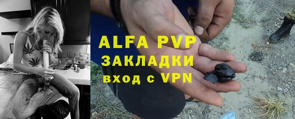 дживик Новозыбков