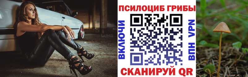 Галлюциногенные грибы Cubensis Мурино