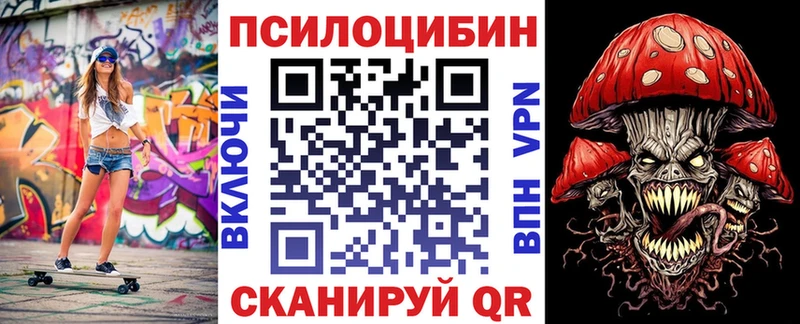 blacksprut онион  Мурино  Псилоцибиновые грибы прущие грибы  наркошоп 